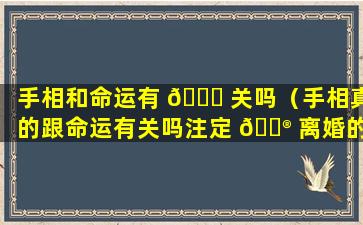 手相和命运有 🐈 关吗（手相真的跟命运有关吗注定 💮 离婚的手相）